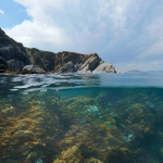 Mediterraneo sempre pi� caldo e salato: il cambiamento accelera fino agli abissi